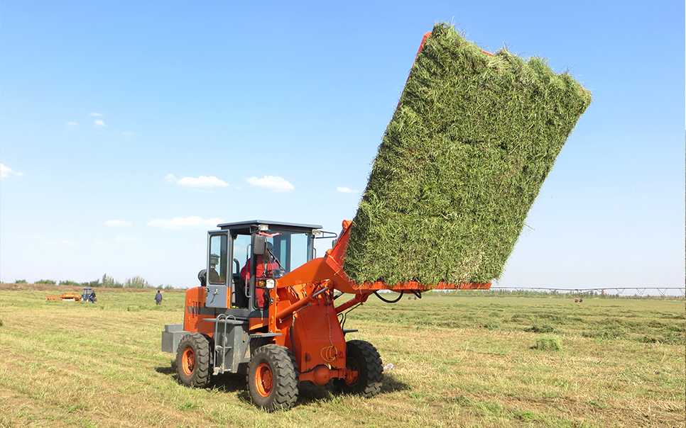 標(biāo)題：9DCK-15方草捆集垛機(jī)
瀏覽次數(shù)：45
發(fā)表時(shí)間：2023-12-12